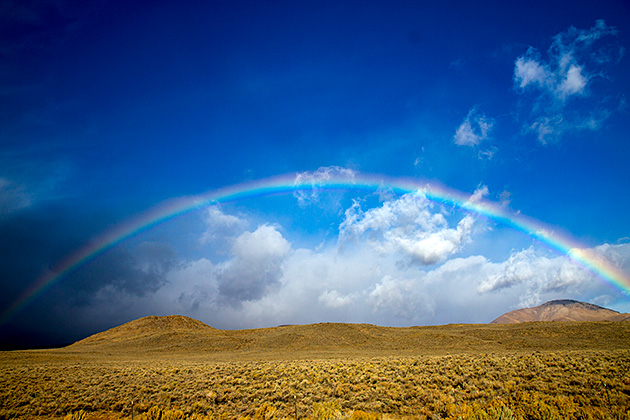 Gay Idaho