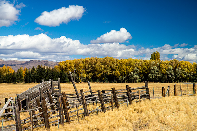 Idaho Fence
