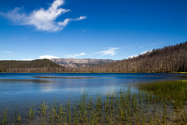 Beautiful Loon Lake
