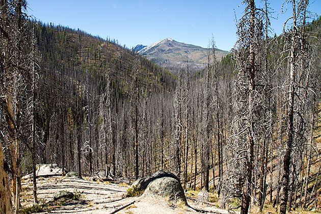 Bizarre Landscape Idaho