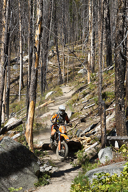 Cross Biker