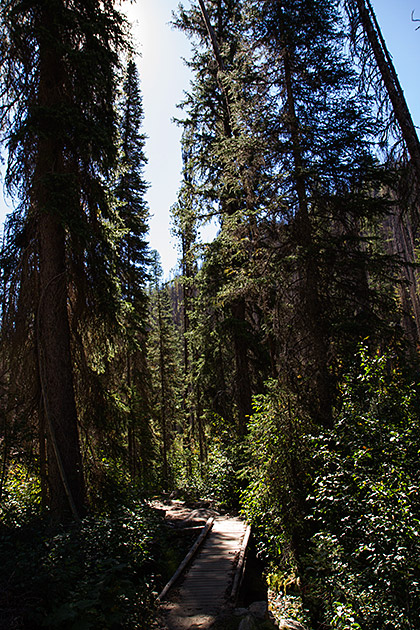 Idaho Grimm Stories