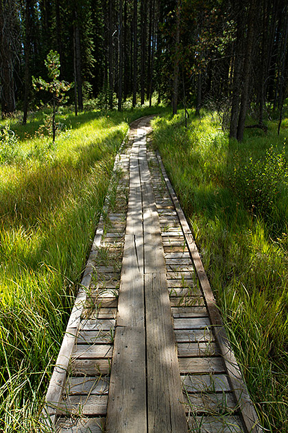 Loon Lake Hike