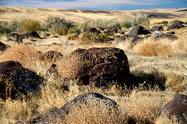 Giant Idaho Flood Rock