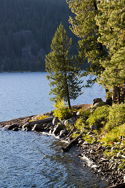 McCall - Idaho's Four Season Getaway 22 McCall Nature