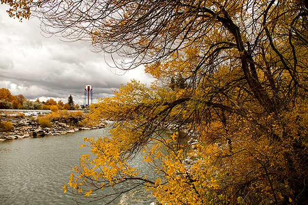 Fall In Idaho