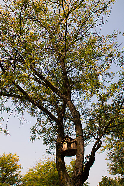 The Artsy University Town of Moscow 42 Birdhouse Moscow