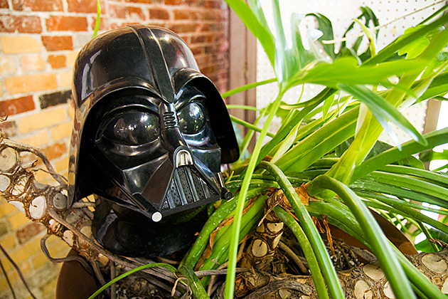 The Artsy University Town of Moscow 28 Darth Vader