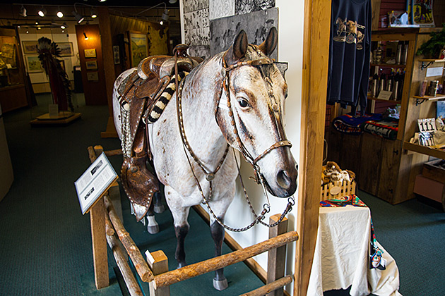 The Artsy University Town of Moscow 9 Native American Horse