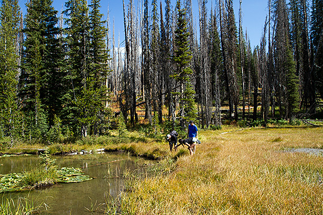 Explore Idaho