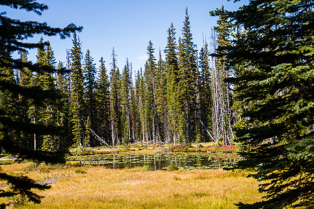 Hidden Lake