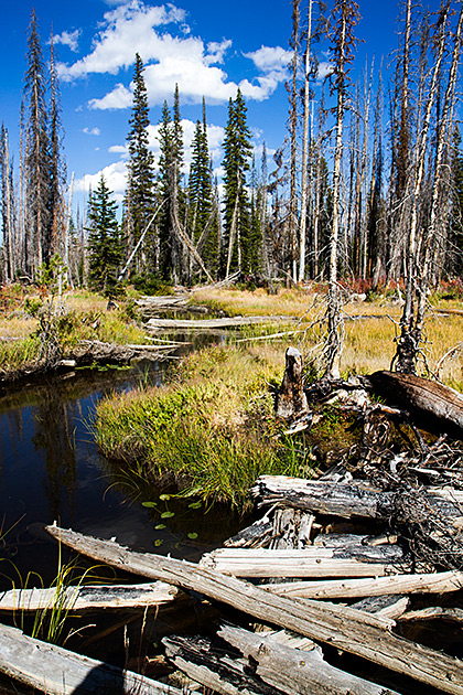 Hiking Blog Idaho