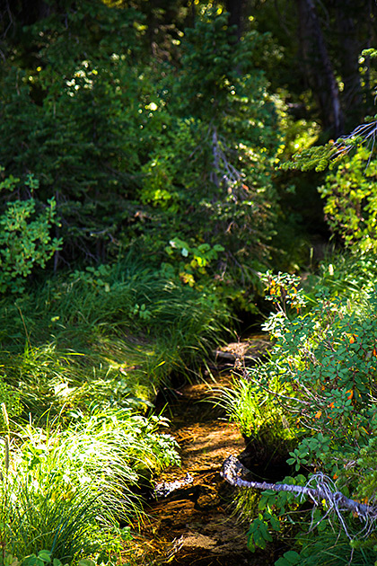 Little Creek