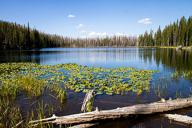 Rainbow Lake Hike Idaho