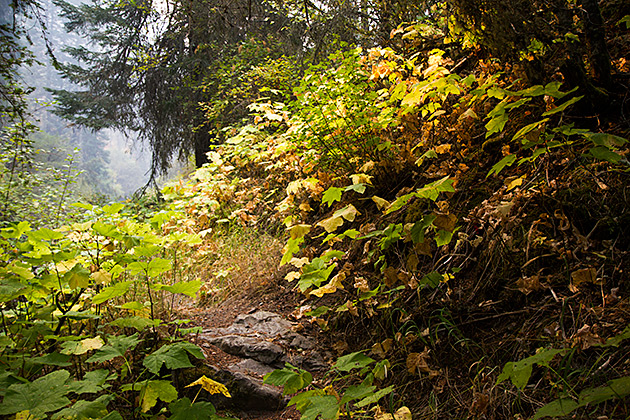 Fall Hike Idaho
