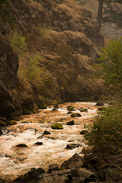 Gold River Idaho