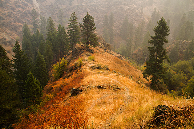 Mixed Colors Idaho