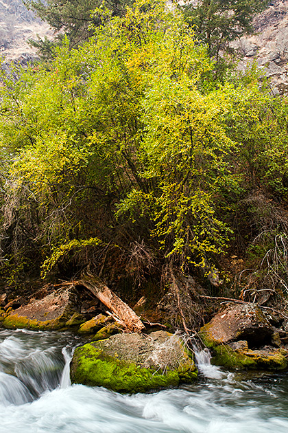 Mother Nature Idaho