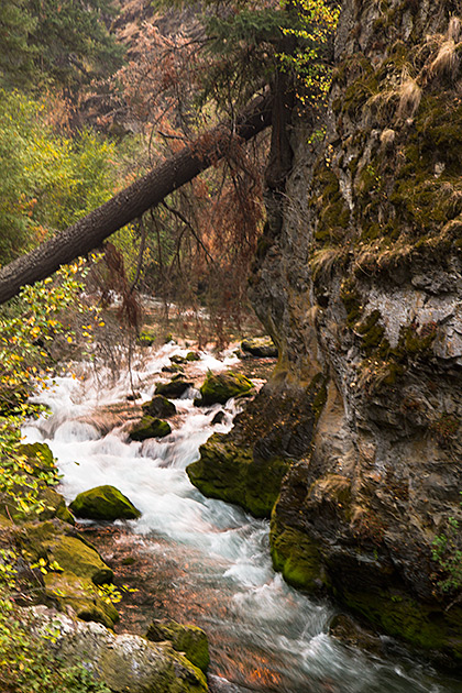 Rapid River Rapids