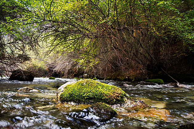 Rivers Of Idaho