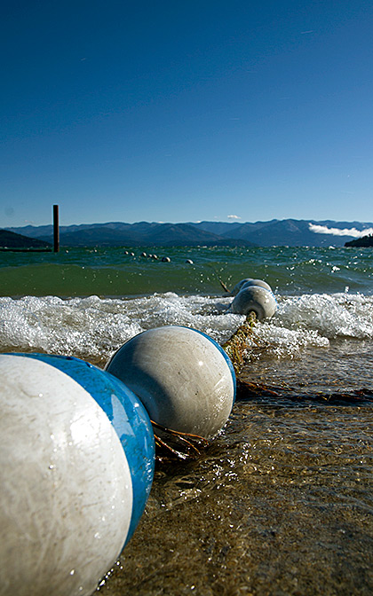 Idaho Sandpoint Blog
