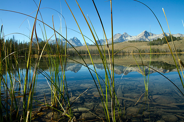 Little Redfish Lake