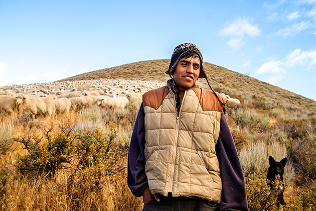 Juergen and the Sheep 3 Peruvian in Idaho