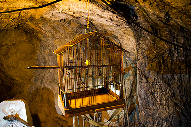 Mining Bird