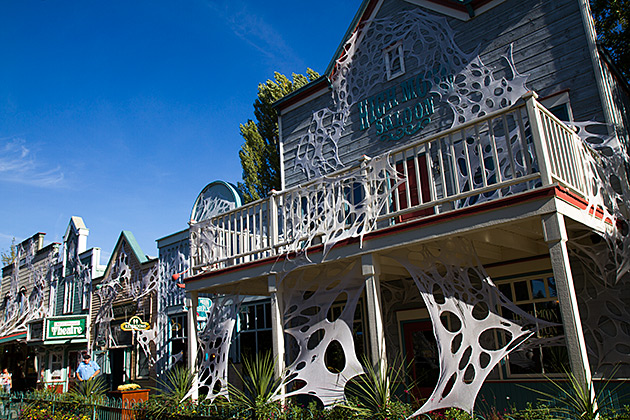 Scarywood Idaho