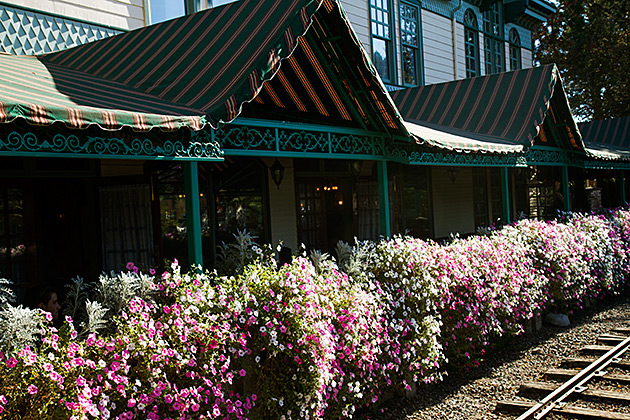 Train Flowers