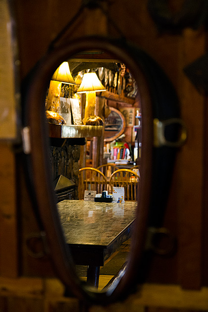 Horse Reflection