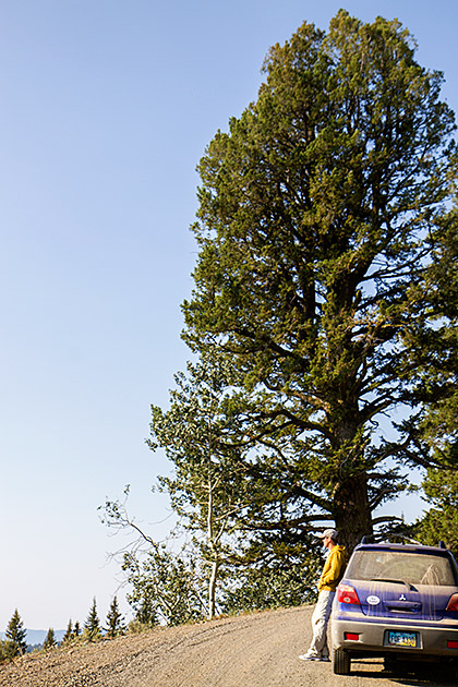 Cascade Road Trip