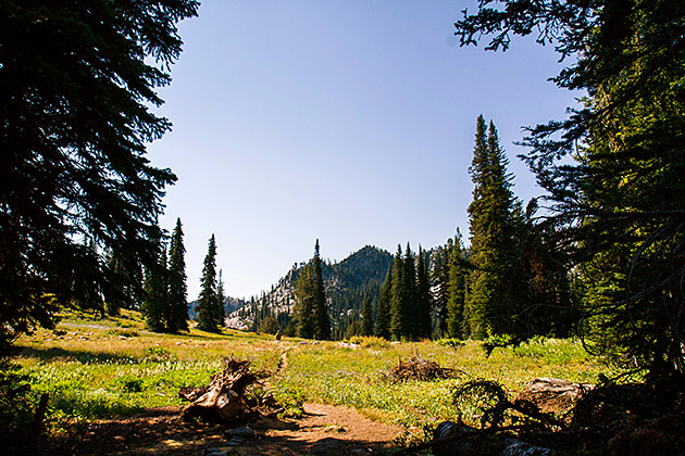 Story Telling Landscape