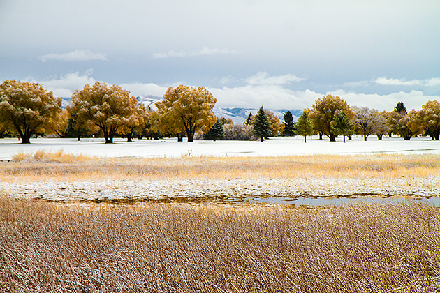 The Wonders of Soda Springs 28 Yellow Snow