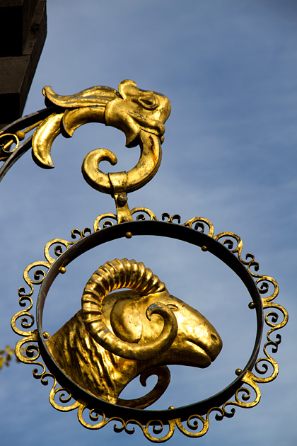 Golden Ram