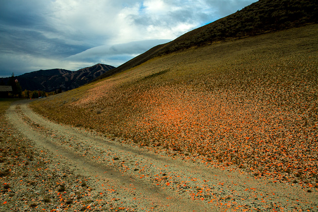 Sun Valley Shooting Range