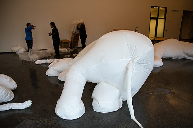 Elephant Butt