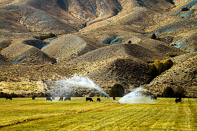 The Salmon River Scenic Byway 11 Idaho Sprinkler