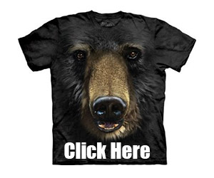 Idaho Bear