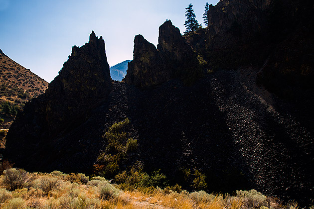 Scenic Byway Wildlife