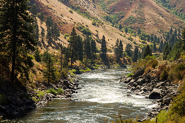 Train River