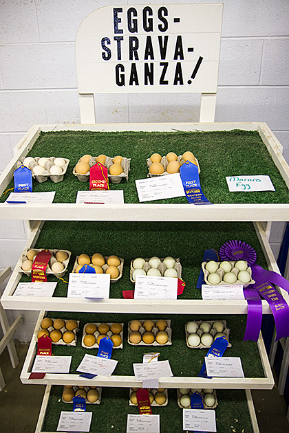 Eggstravaganza