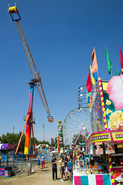 Insane Ride