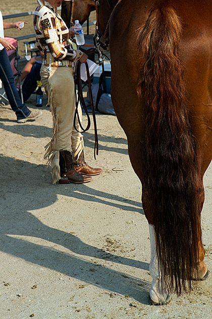 Pretty Pony Tail