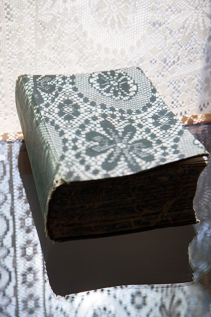 Old Idaho Book