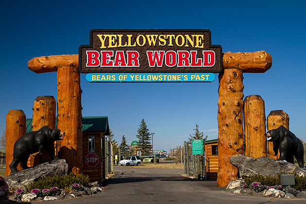Yellowstone Bear World Idaho