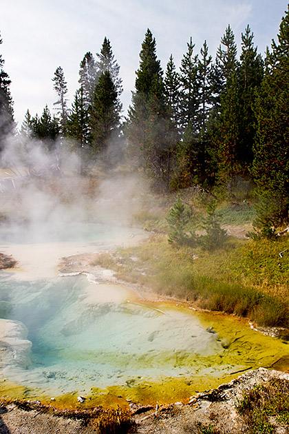 Nature Blog