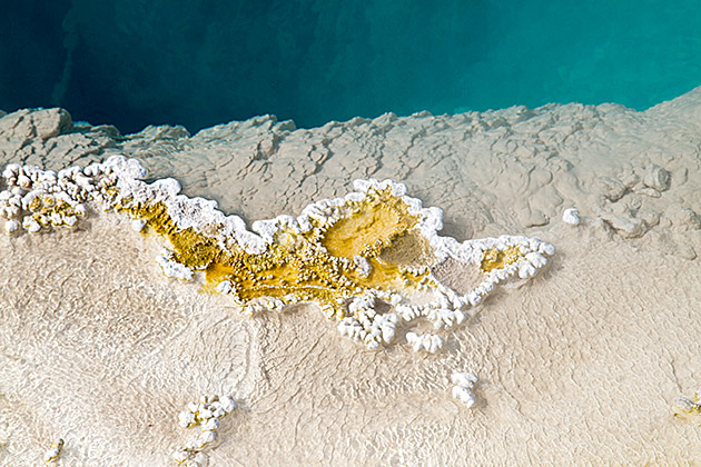 Tiny Island