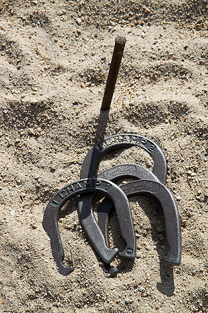 Horse Shoe Festival
