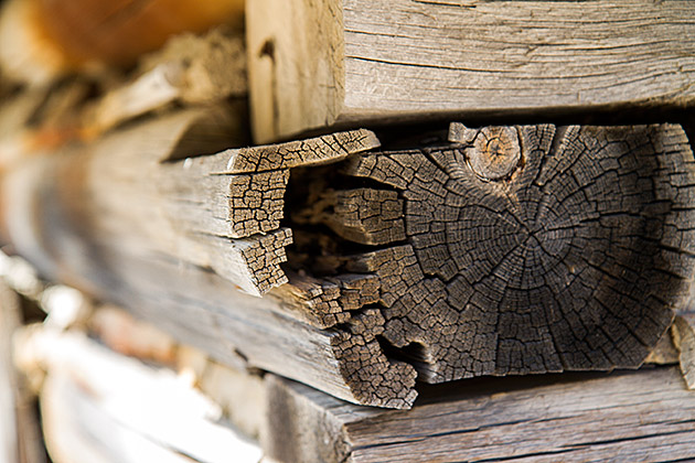 Idaho Wood